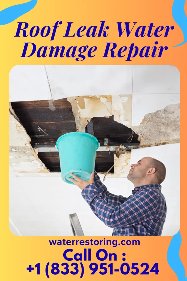 Roof Leak Water Damage Repair in Hansen, ID